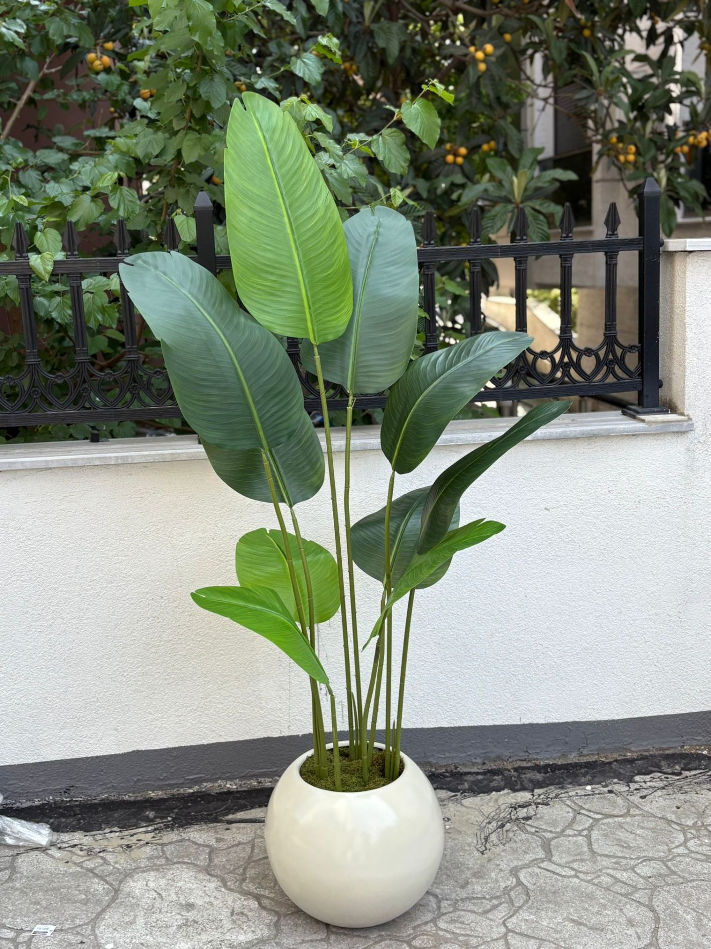 Yapay 10 Yaprak Starliçeli Beyaz Top Saksı