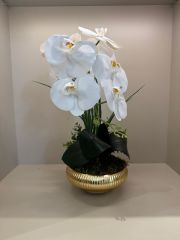 Islak Orkideli Küçük Boy Çizgili Yassı Vazo/Gold