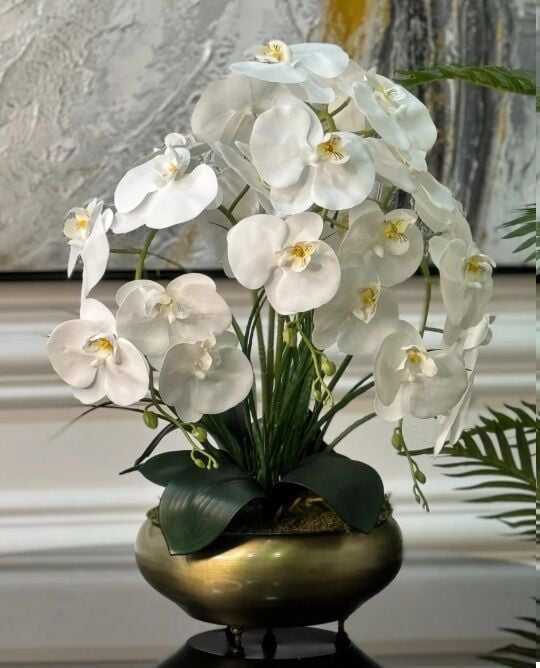 Antik Yassı Vazo Kampanyalı Beyaz Orkideli