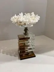 Kristal Kaideli Doğal Mercan