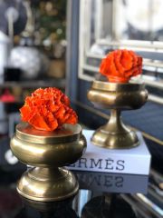 İkili Yapay Turuncu Mercanlı Antik Gold Şekerlik