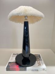 Kristal Kaideli Doğal Mercan Dekor Siyah