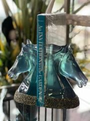 At Kitap Tutucu Mavi