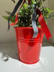 Kırmızı Metal Saksıda Çiçekli Top Ağaç