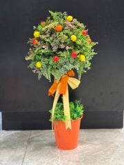 Turuncu Metal Saksıda Renkli Meyveli Topiary